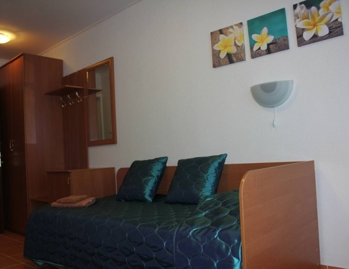 Стандарт 3-местный корпус№1 с видом на волгу - Санаторий «Лунево»