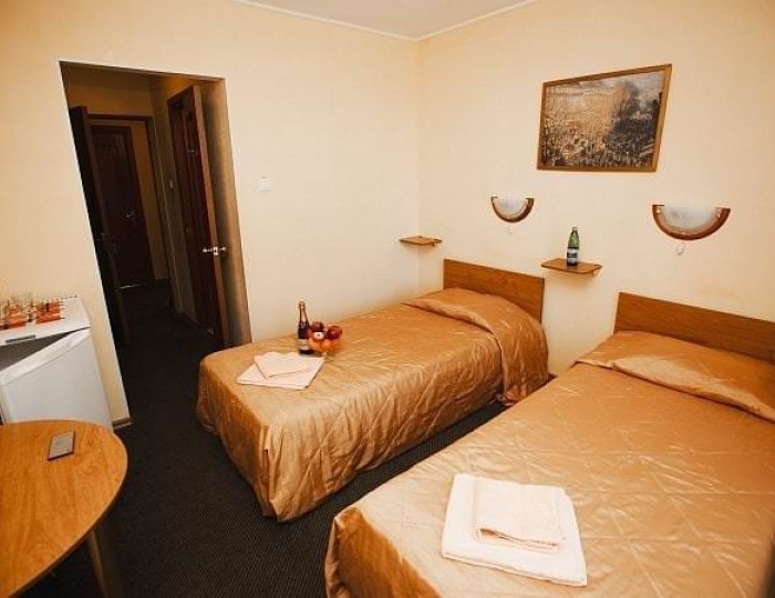 Стандарт 2-местный корпус№1 с видом на территорию - Санаторий «Лунево»